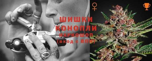 амф Володарск