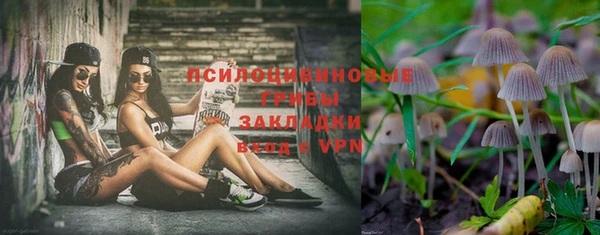 МДПВ Вязьма