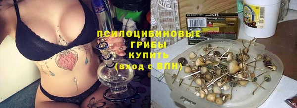 МДПВ Вязьма