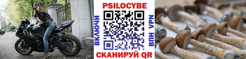 hydra как зайти Западная Двина Псилоцибиновые грибы Psilocybine cubensis